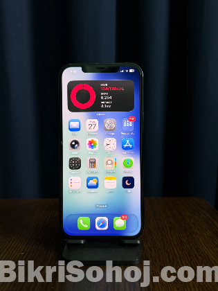 iPhone 12 pro max